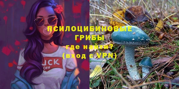 винт Белоозёрский