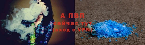 дмт Белокуриха