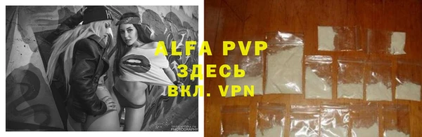 дмт Белокуриха