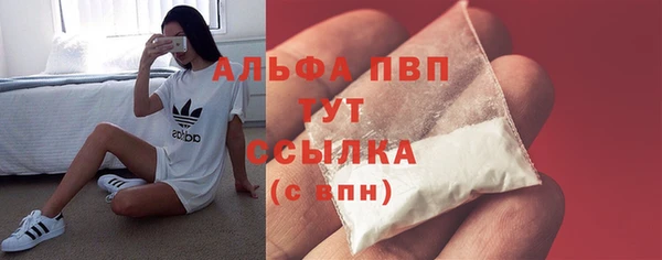 дмт Белокуриха