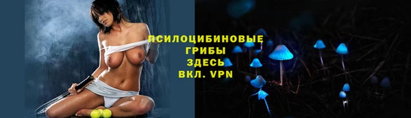дмт Белокуриха