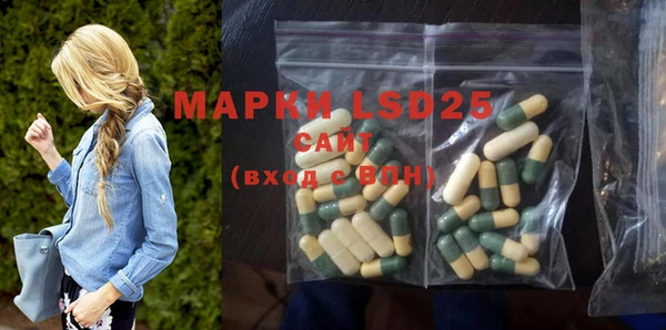 ПСИЛОЦИБИНОВЫЕ ГРИБЫ Беломорск