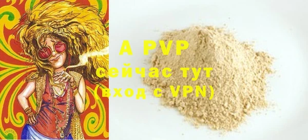 дмт Белокуриха